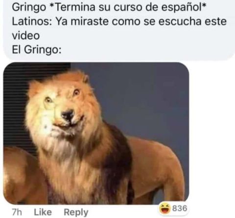 spanish memes el gringo meme
