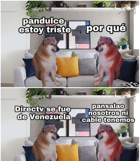 spanish memes pan saolo meme example