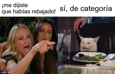 spanish memes el gato meme
