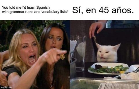 spanish memes el gato meme